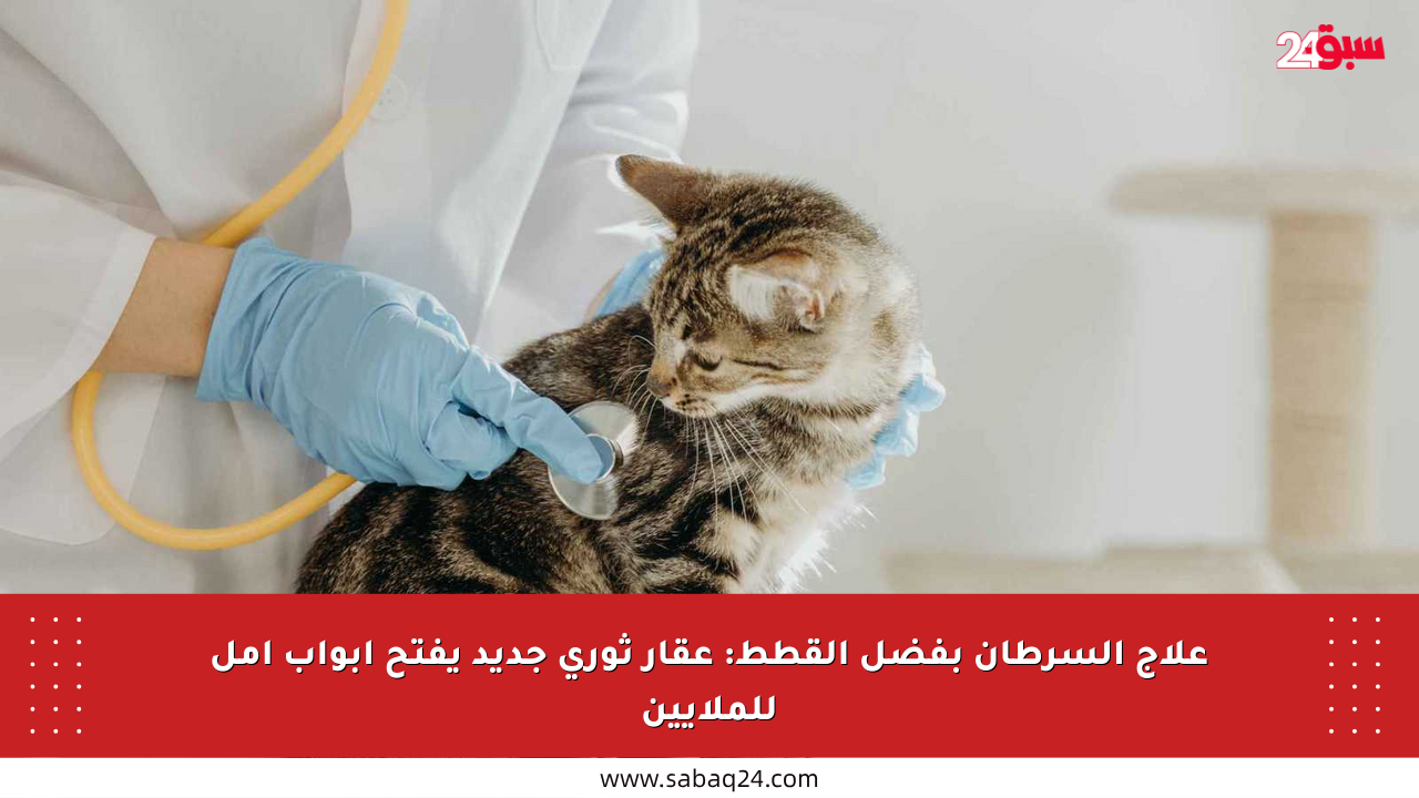علاج السرطان بفضل القطط: عقار ثوري جديد يفتح أبواب أمل للملايين